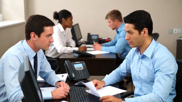 Magnolia avis : ce qu'il faut savoir avant de l'adopter